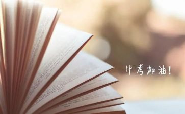 中考心得体会优秀7篇