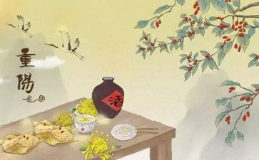 2024重阳节活动总结优质6篇