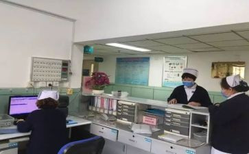 专科护士年度工作总结7篇