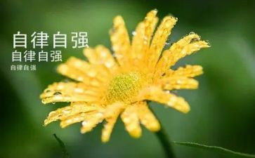 少年自立自强事迹材料优秀8篇