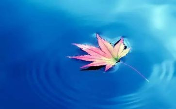 大自然的线教案7篇