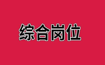 综合岗2024年工作总结报告6篇