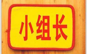 做组长心得体会模板8篇