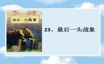 最后一头战象心得体会8篇