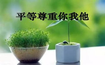 尊重老师的作文7篇