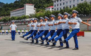 组训的工作总结7篇